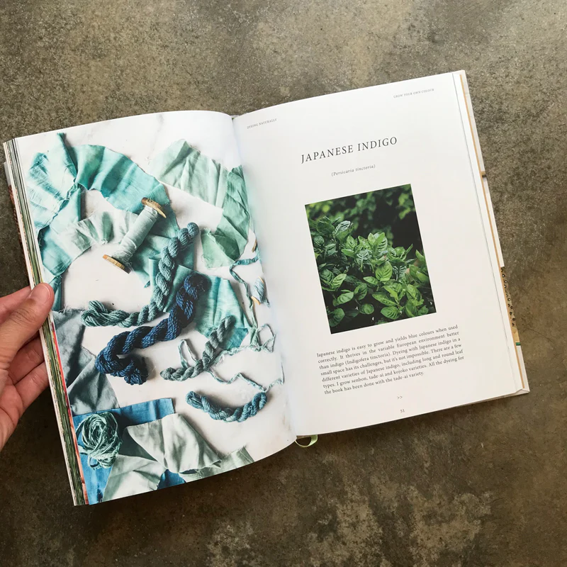 Dyeing Naturally - Image 2