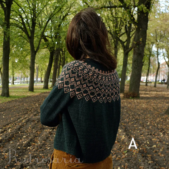 Azor sweater kit - Image 3