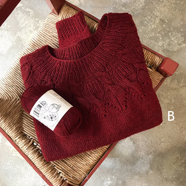 Cinnamomum Pullover kit - Image 6