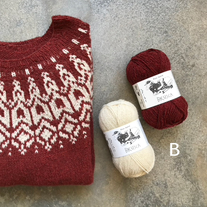 Manou sweater kit - Image 3
