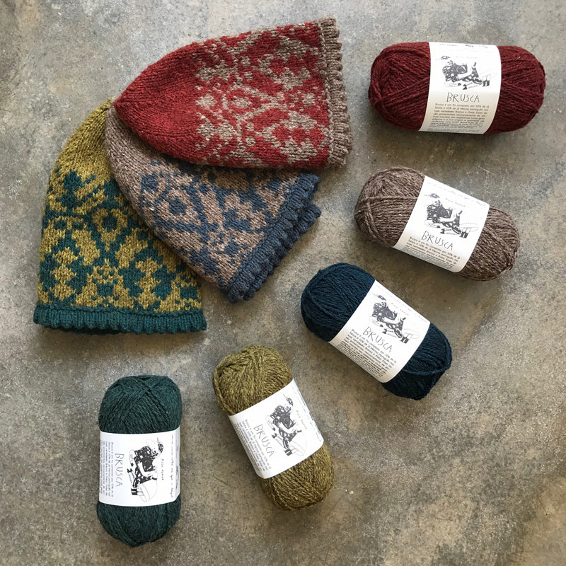 Lygaeus hat kit
