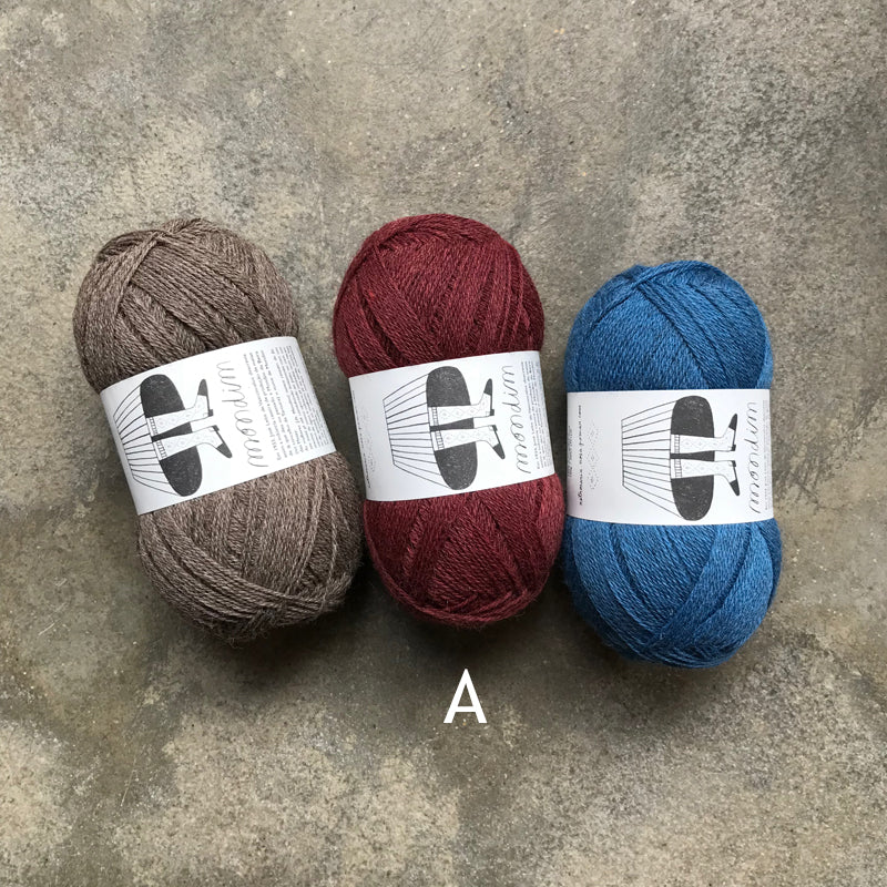 Halliste shawl kit - Image 4