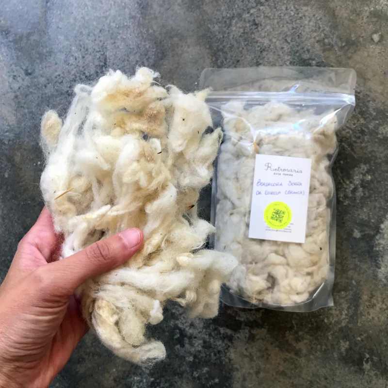 Native Portuguese sheep wool for spinning and felting - Image 4