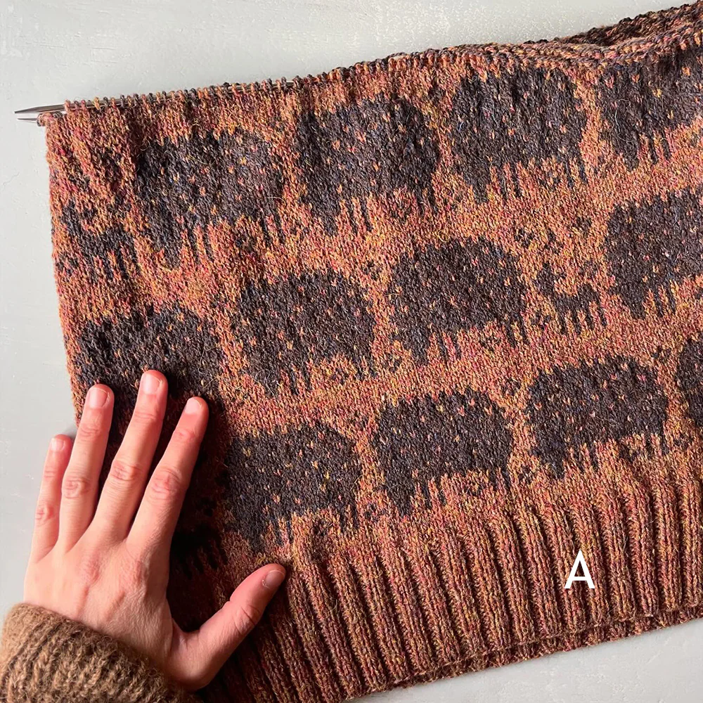 Sheep Sweater kit - Image 6