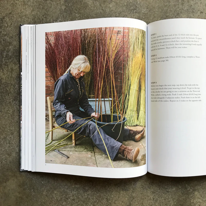 Willow: A Guide to Growing and Harvesting - Image 11