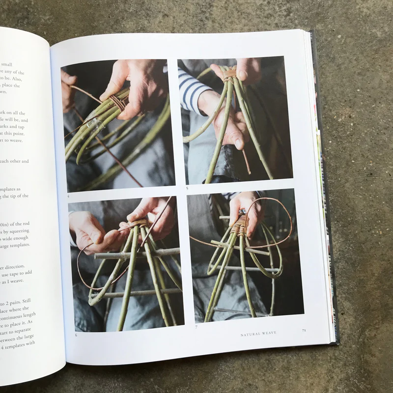 Willow: A Guide to Growing and Harvesting - Image 4