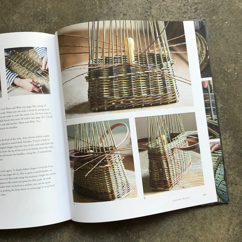 Willow: A Guide to Growing and Harvesting - Image 9
